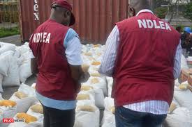 NDLEA arrests suspected drug lord with N8 billion worth of cocaine